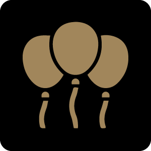 SALON DE EVENTOS